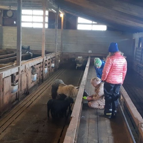 0343834c-b29c-4eb3-9b5d-250828070a4a