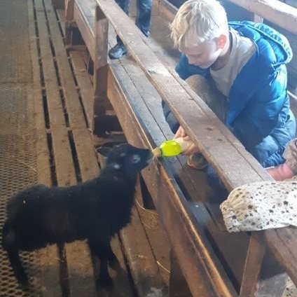 17ec4df7-0172-4d7f-a4f0-963405f53a8b