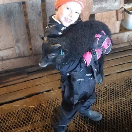 1d85b88e-454a-4333-9a2e-fe37fe1db54b