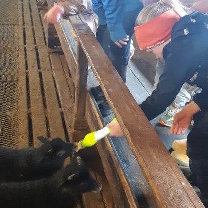 24a35941-9fd4-41b6-95d9-5384b1e9f2be