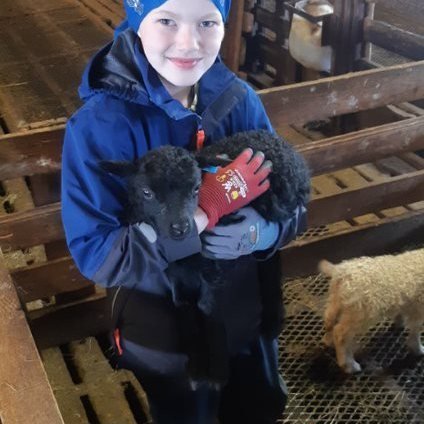 2cfc38b4-6a11-4b81-8322-70f6e03905af