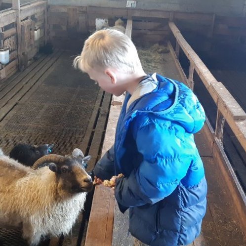 4759955b-eadf-4fd9-bfcb-929227ee028a