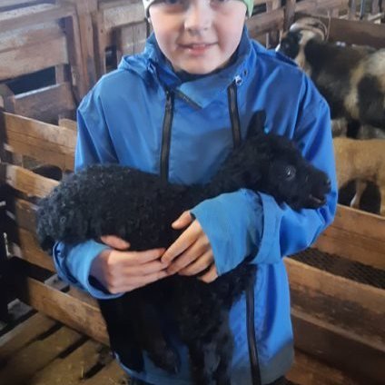 5b7c5d27-bfa5-4bc0-81e5-a08c7b448dce