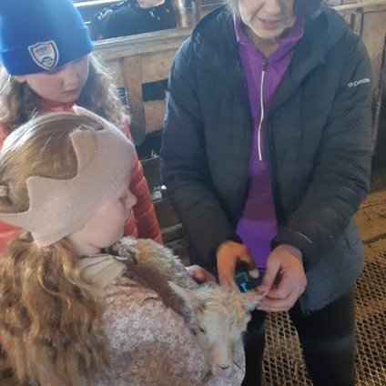 692a5d37-a7df-423c-a24f-78f8729f32be