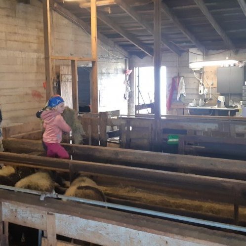 880f6bec-1580-491c-b506-bce8291bf1b9