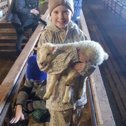 a5d5a63a-41f0-4184-8fce-277865e2788f