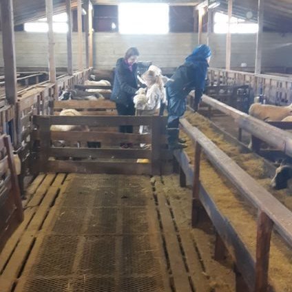 b2f3b8c6-2ab6-4923-9ad3-6cc66abff1c3