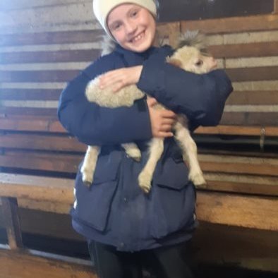 bced0260-845c-49c5-98d1-f968b9c07c57