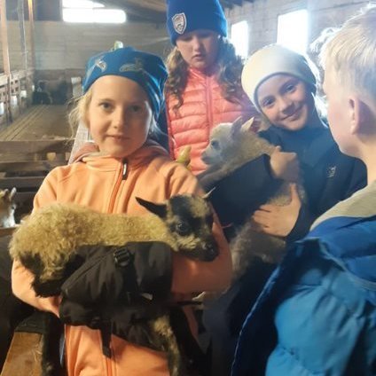 d2fa5cc5-ac2b-4f7f-93a6-8013665ea936