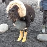 172643997_129712175793369_2743214987275929082_n