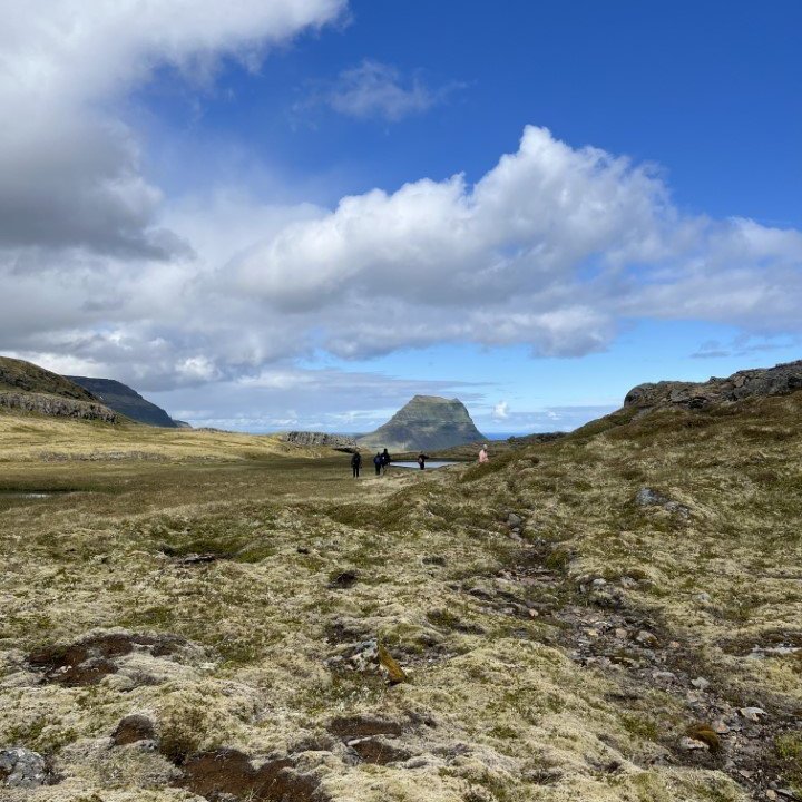 dab99bdf-3356-4f10-9a5a-ea5a681ce336