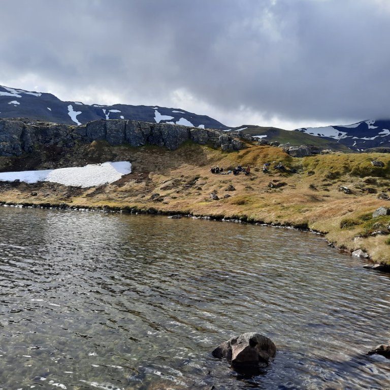 f506a2b8-562a-480c-bd81-d95db8fa2b3f