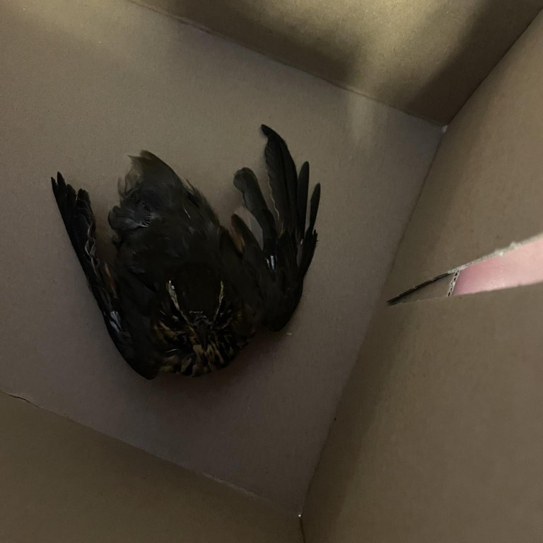 382566473_279947731586706_3642650436926583928_n