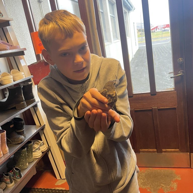 382570772_282462731256876_4274965008745425446_n