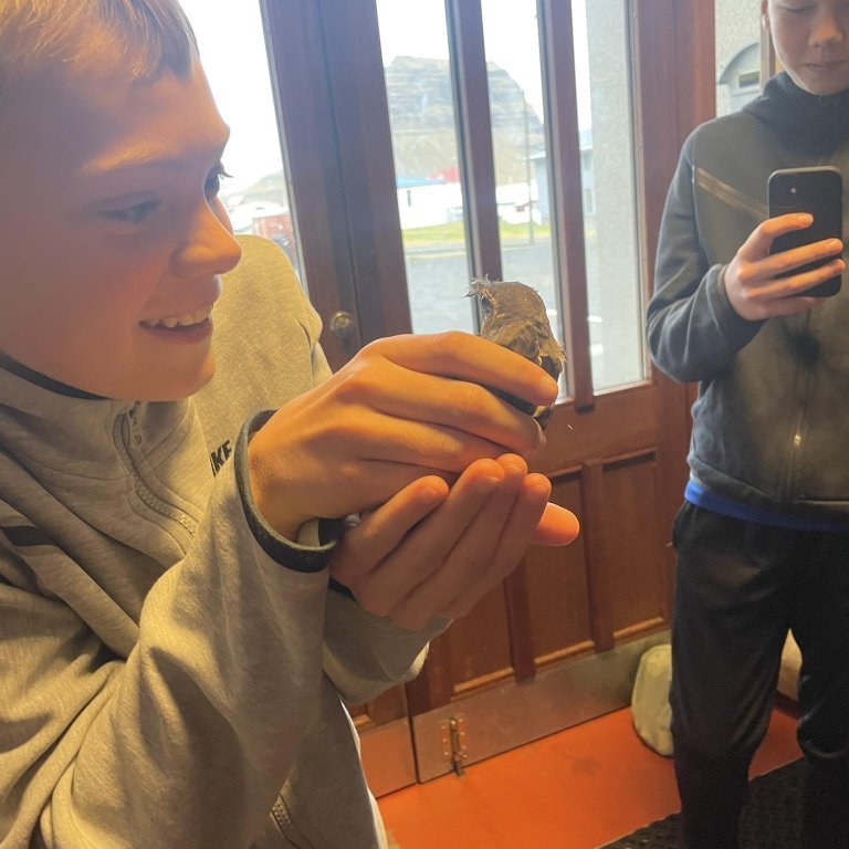 384508754_6487729271355717_6939283901290258542_n