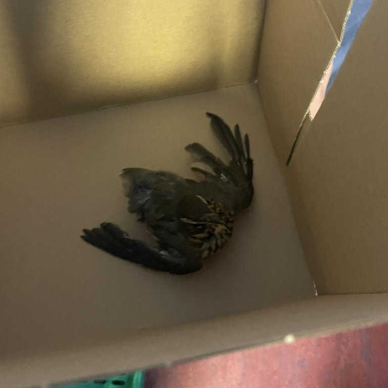 384836311_871972457674266_2463985027704769612_n