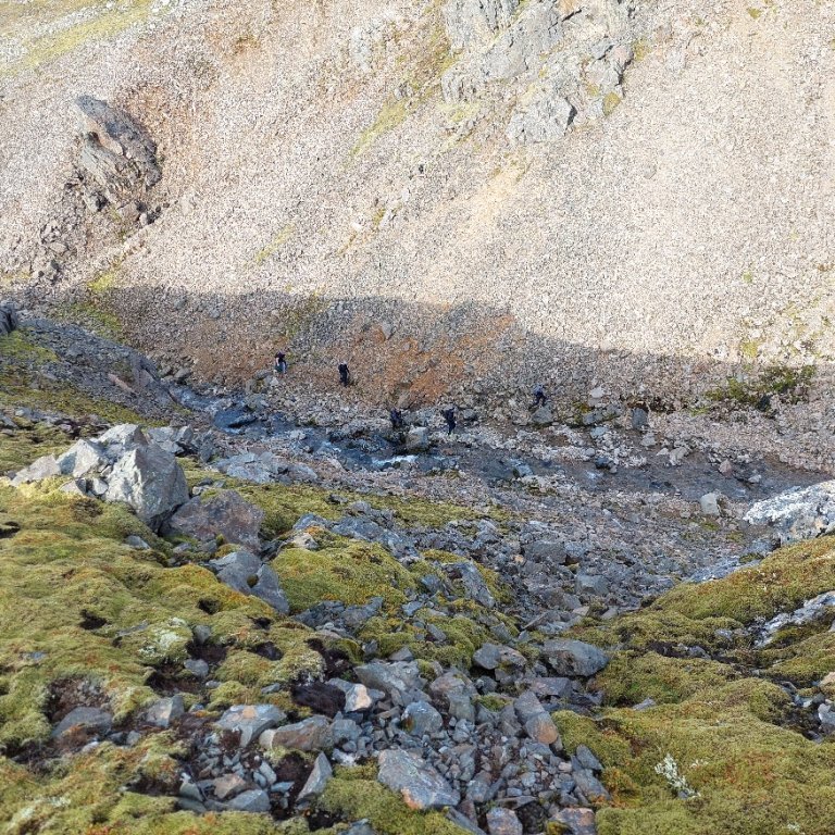 16259704-3deb-4145-8c04-f0081c5cedf6