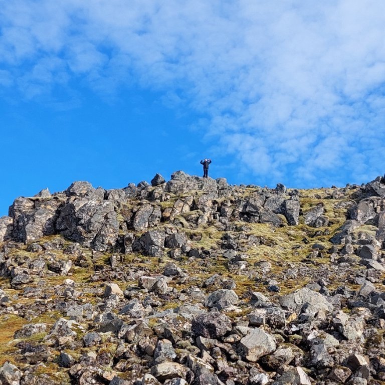 2f8275e6-49d1-4c4f-93d7-dceb648204ab