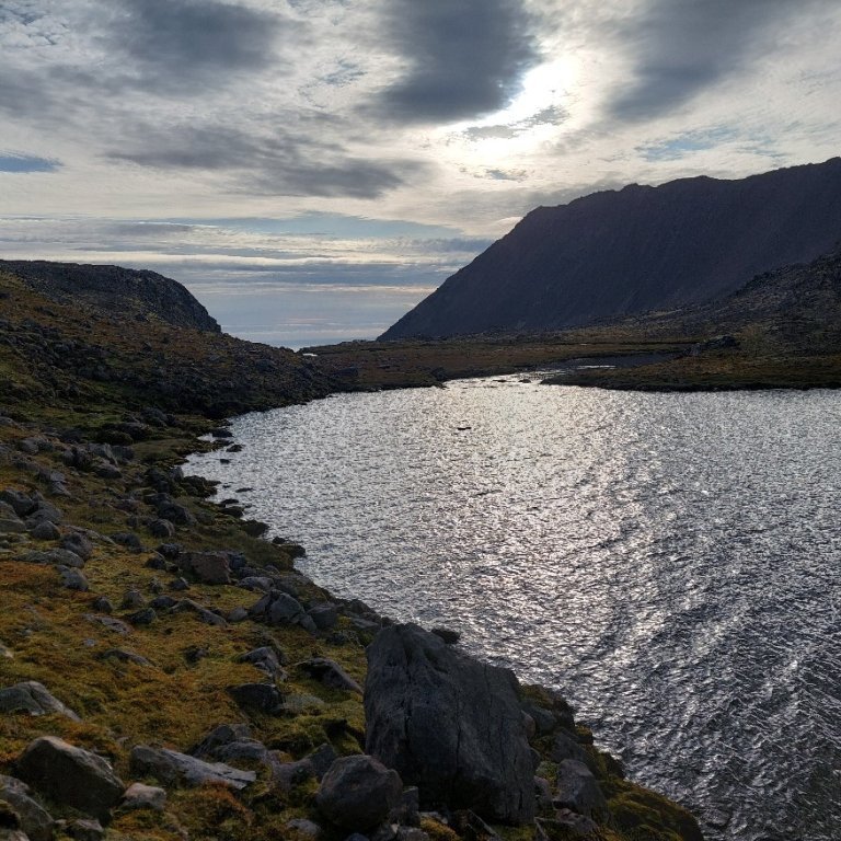 884b73be-4b98-4521-8489-b192cdfd6585