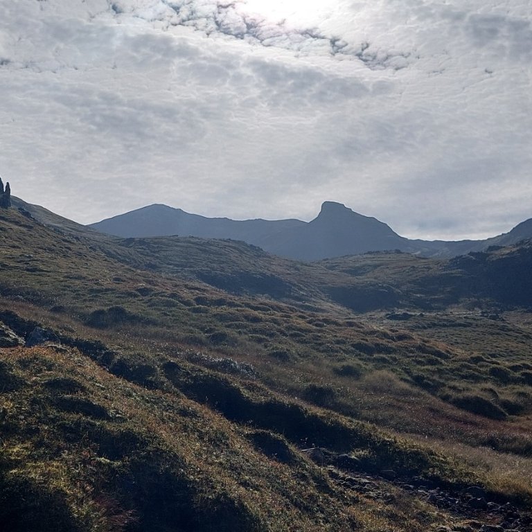 95f1df97-e1ea-430e-95da-ed55be764201