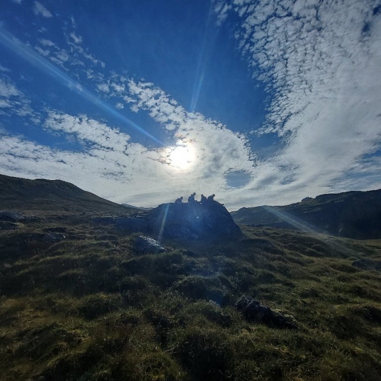 c01fec54-4c11-48c7-9fe3-2e4cb506ede1