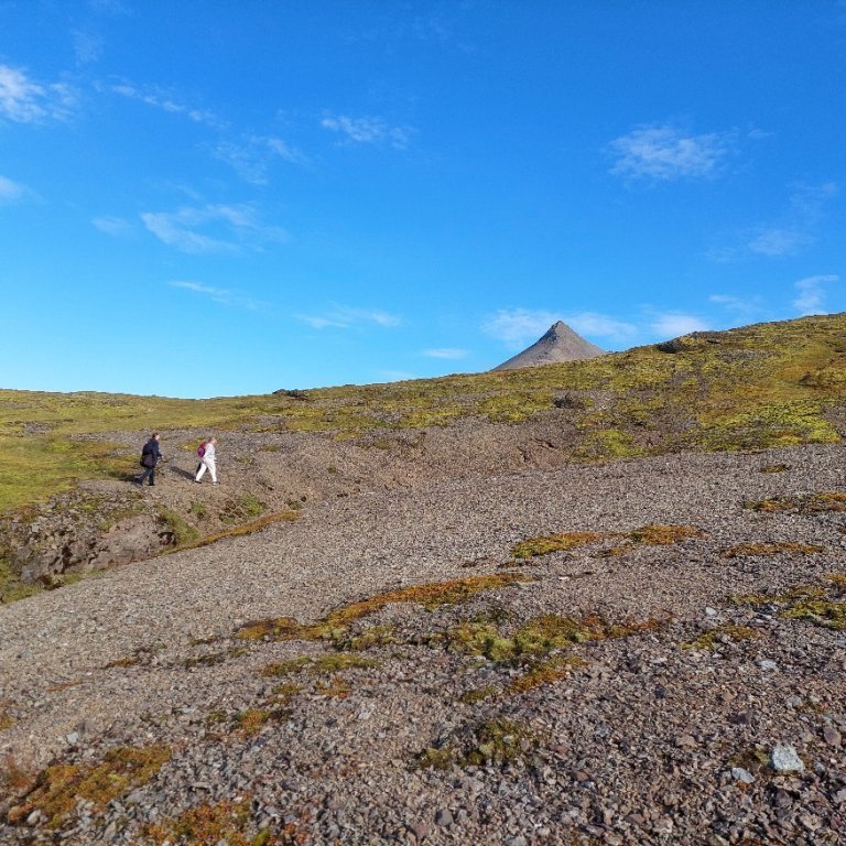 d3980d8a-88b9-4efd-97b5-223aa9da0277