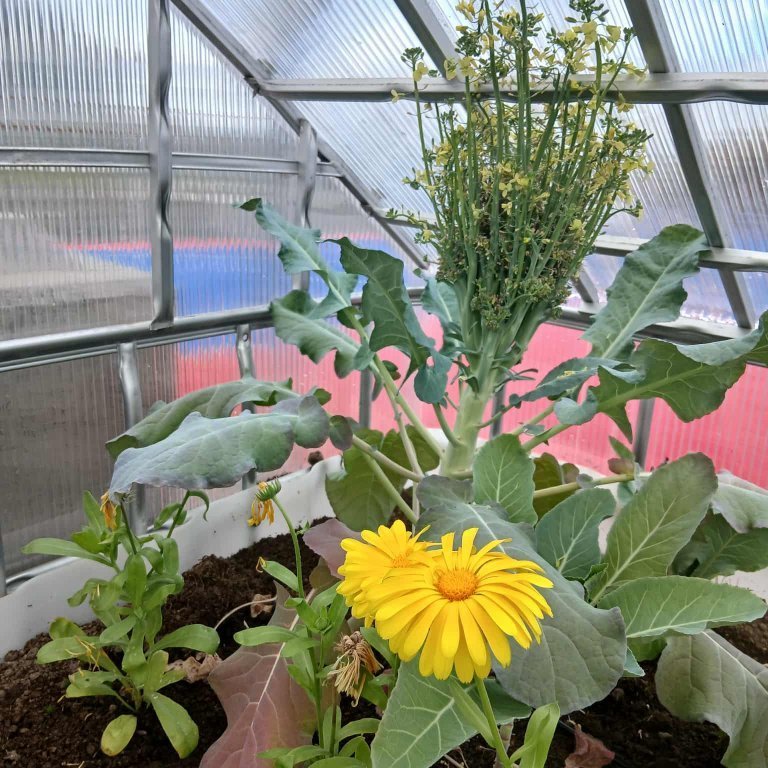 0da7931a-8269-4d62-a5e8-d2e33f5e6180