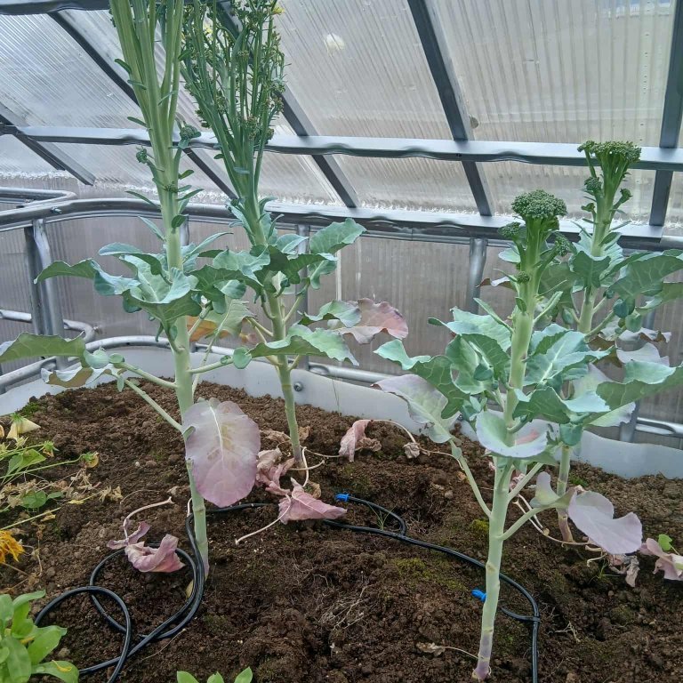 2b41327b-6953-4e8a-a6c1-f93624d8c72f