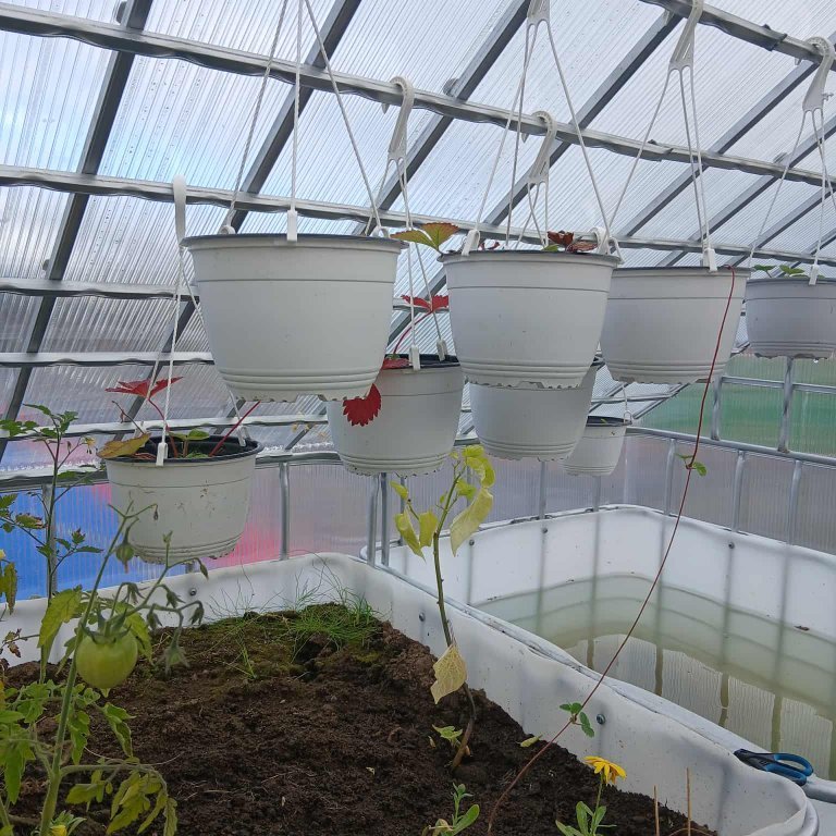 35949d2f-1884-4924-b884-1fcf766d7a6f