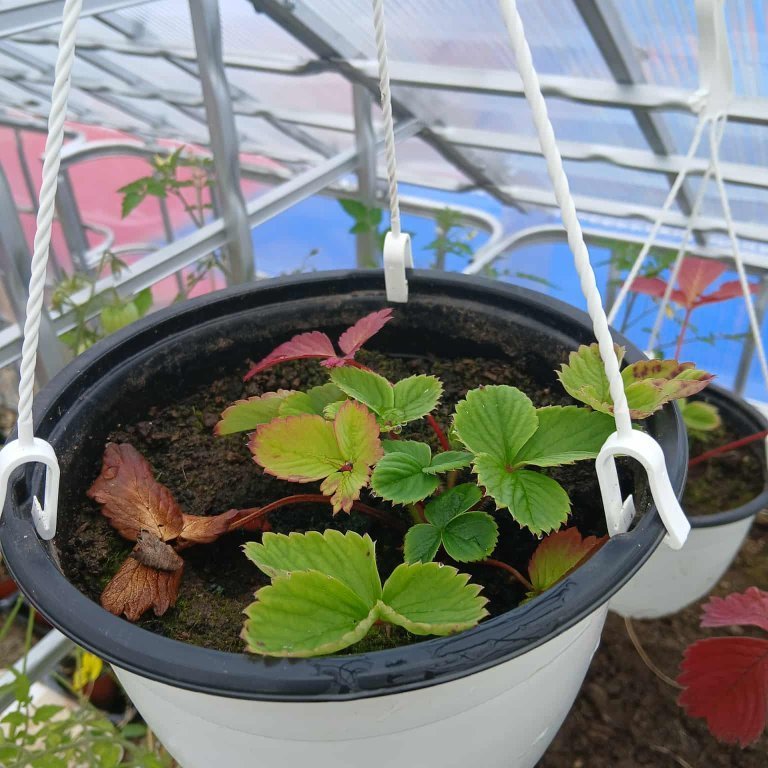 3f4380a4-dec8-4057-b23f-bd22c06579f0