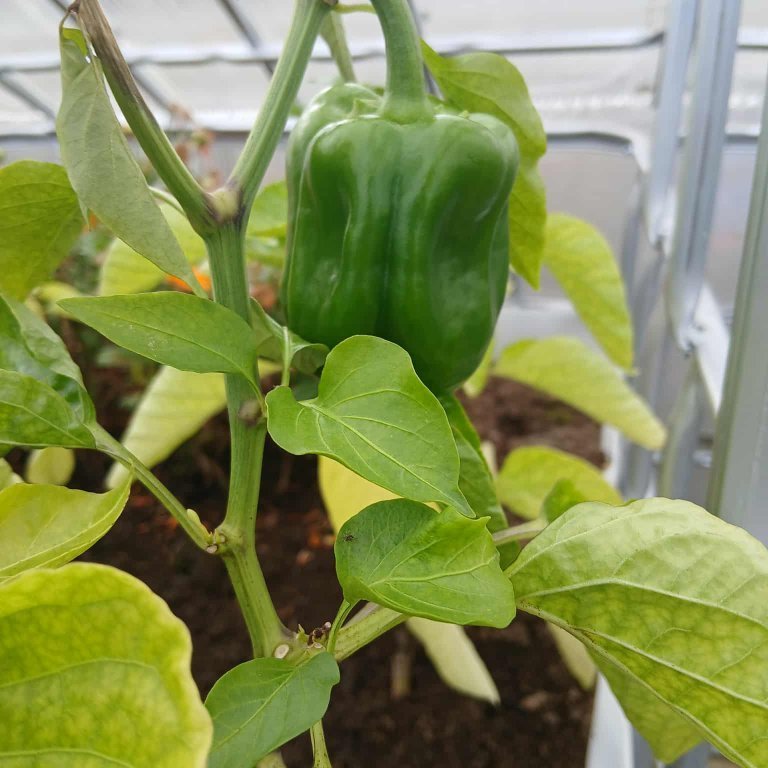 4141983f-a9b4-4dea-afa1-578dbe713ae7