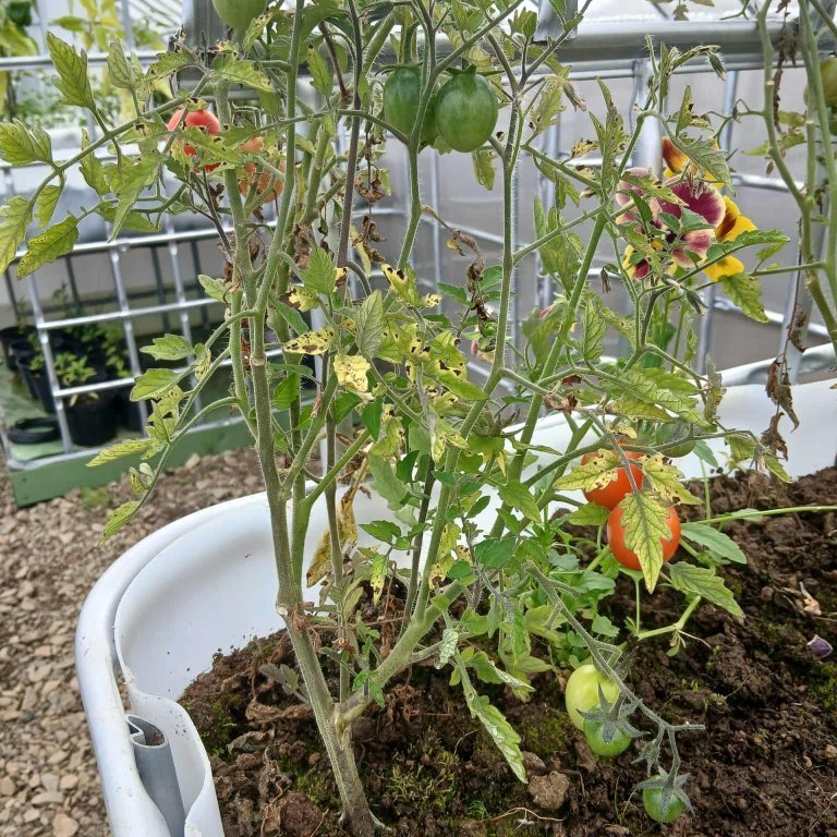 6506184a-b01f-4a06-91f4-58524e6a1fa9