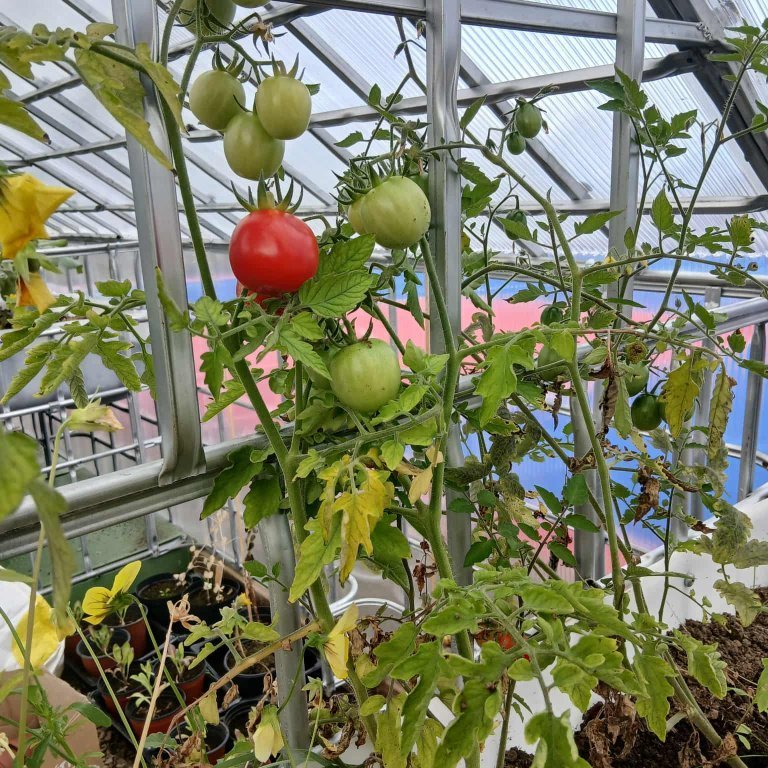 6e061199-038a-44d4-be75-1c6d924a4a21