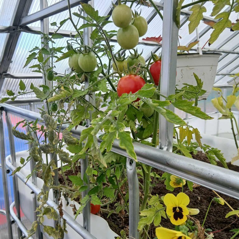 a8e25984-f4c9-4037-ab98-ffca7fd14f6c