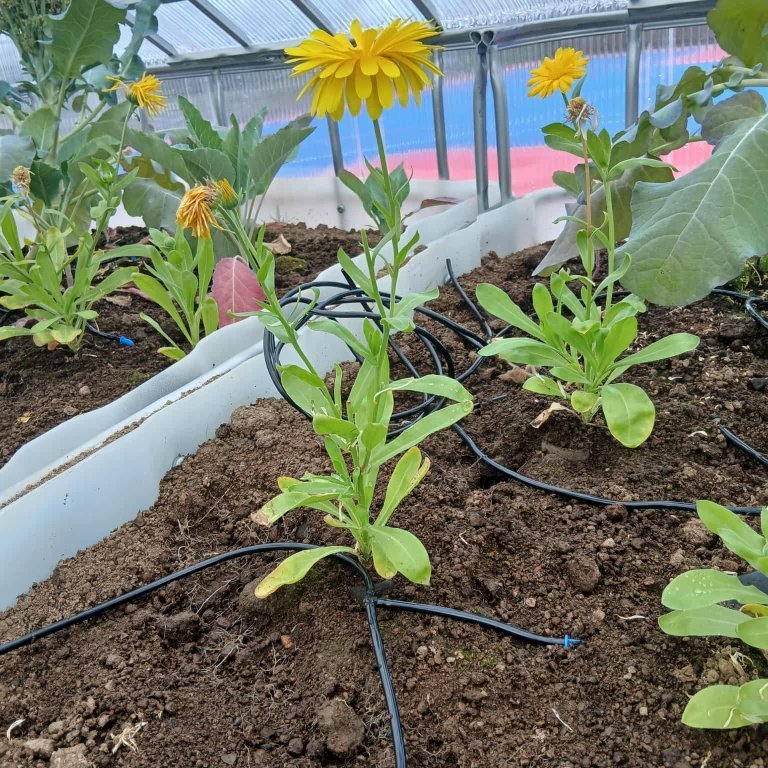 d538663d-12d3-430b-98dd-c0c0686fd411