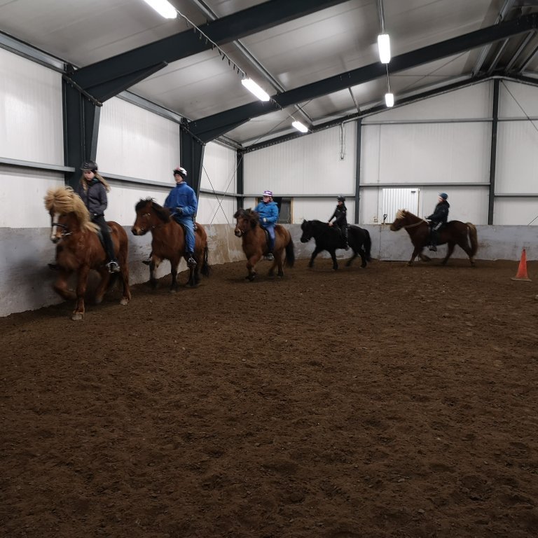 img_20210127_175303-1