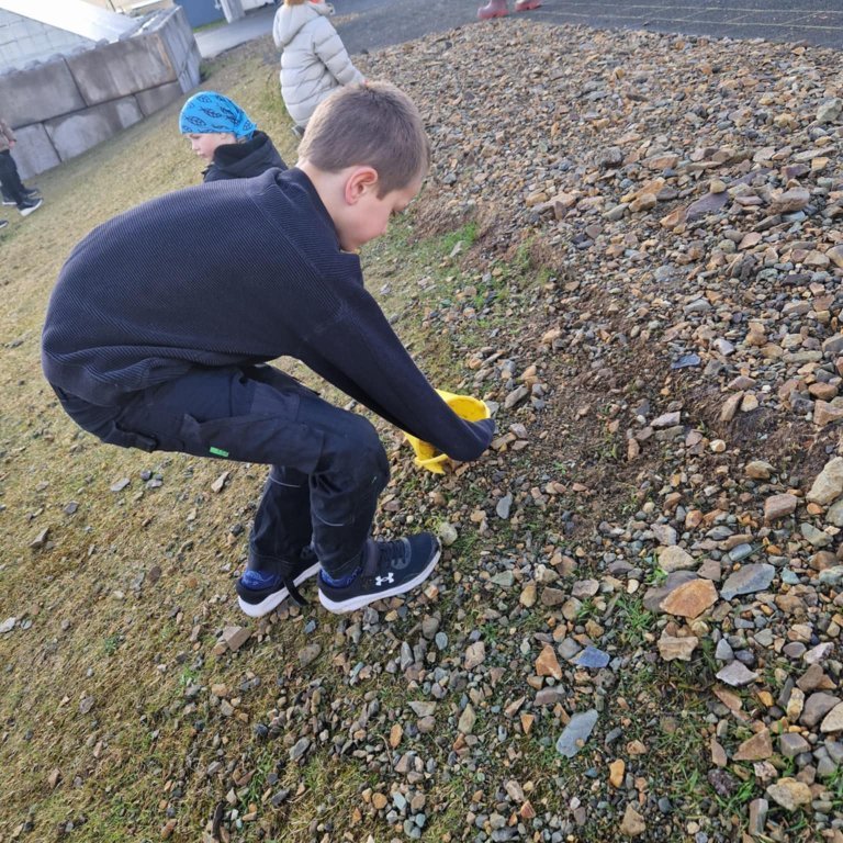 ff8aaa13-00c2-44cc-8bdb-d6855d829903