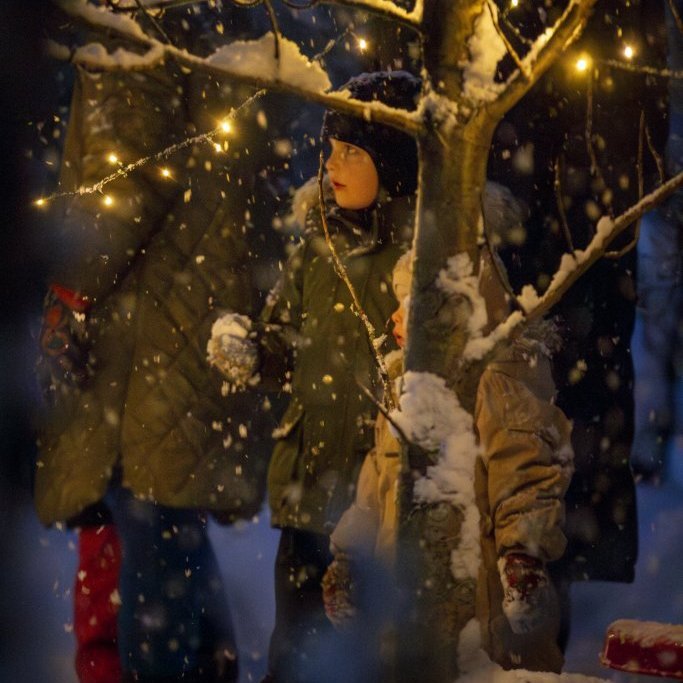 img_7223-enhanced-nr