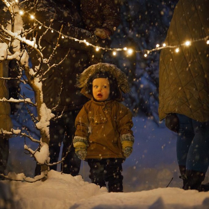 img_7230-enhanced-nr