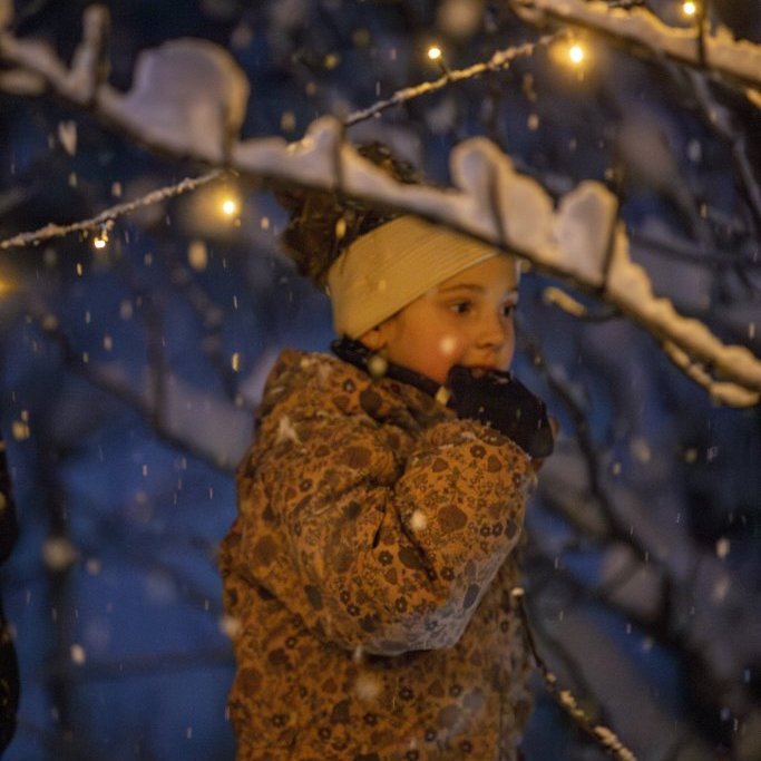 img_7232-enhanced-nr