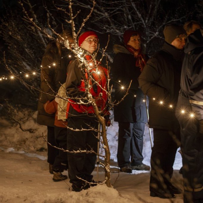 img_7367-enhanced-nr