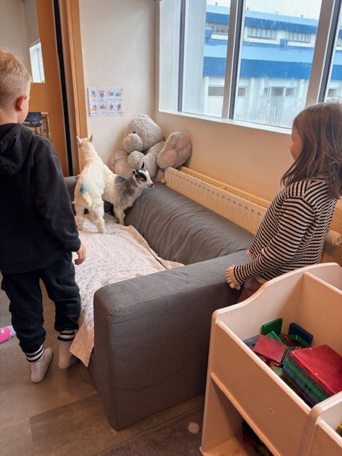 image1-7.jpeg