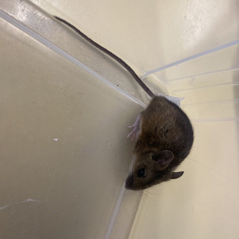 thumbnail_image_67148545