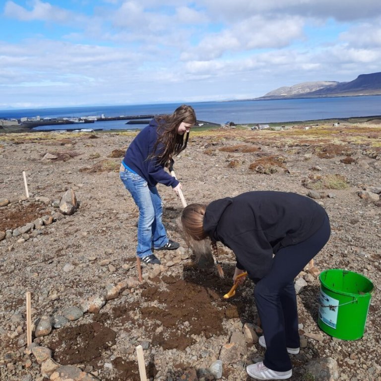 1afed351-b322-423f-a7fb-27f0443e028d