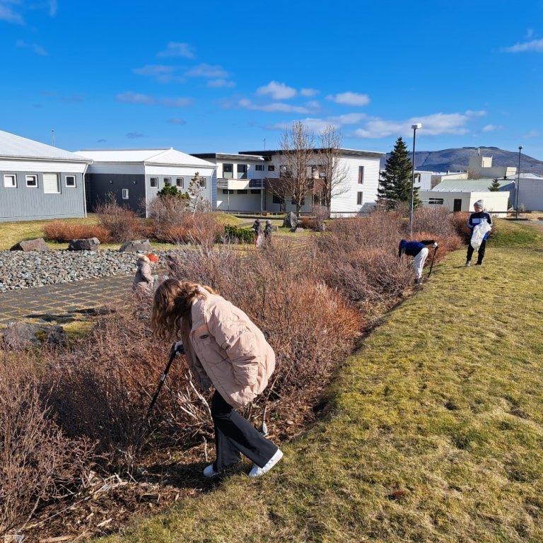 thumbnail_20230428_101554