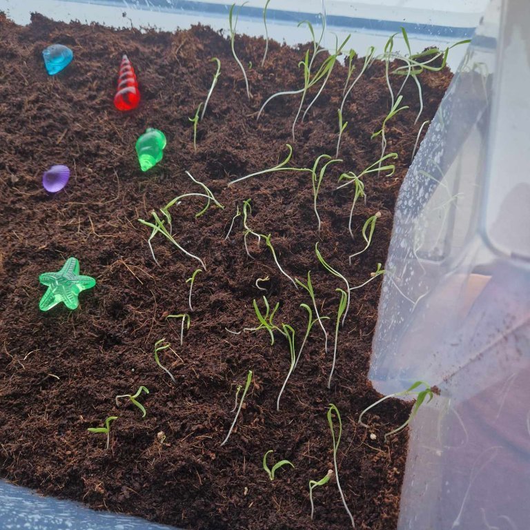 473650856_3238481182960285_8059915438092898023_n