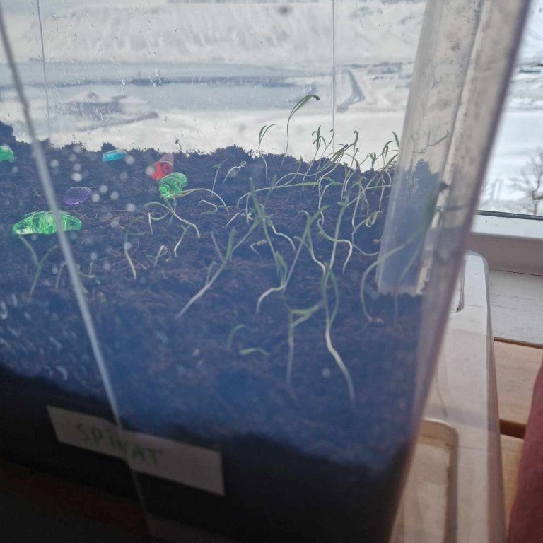 473794879_581292174811462_8135586708213843298_n