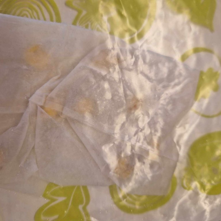 thumbnail_472931194_580195171449627_5687835694016271056_n