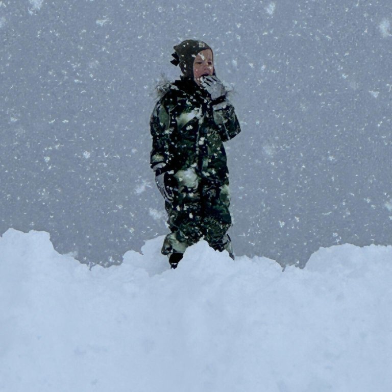 messenger_creation_14ad8438-95c2-4f5c-97a4-2ca56e9d2a28