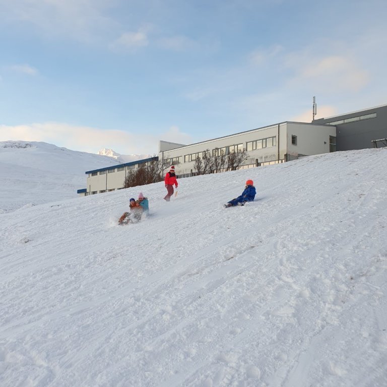 thumbnail_20230201_111809